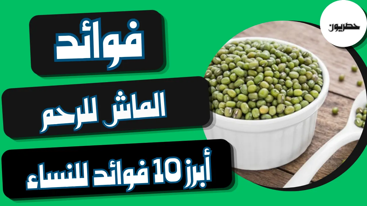 فوائد الماش للرحم أبرز 10 فوائد للنساء