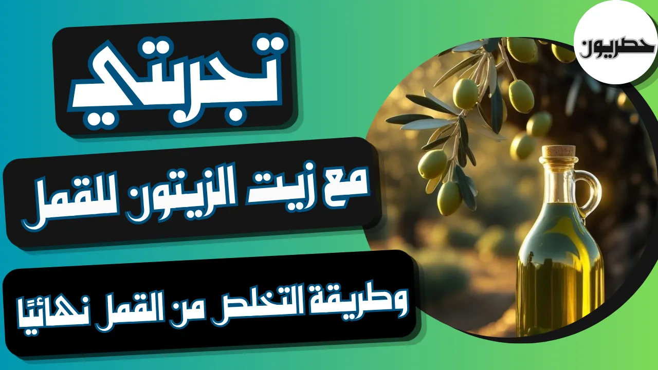 تجربتي مع زيت الزيتون للقمل وطريقة التخلص من القمل نهائيًا