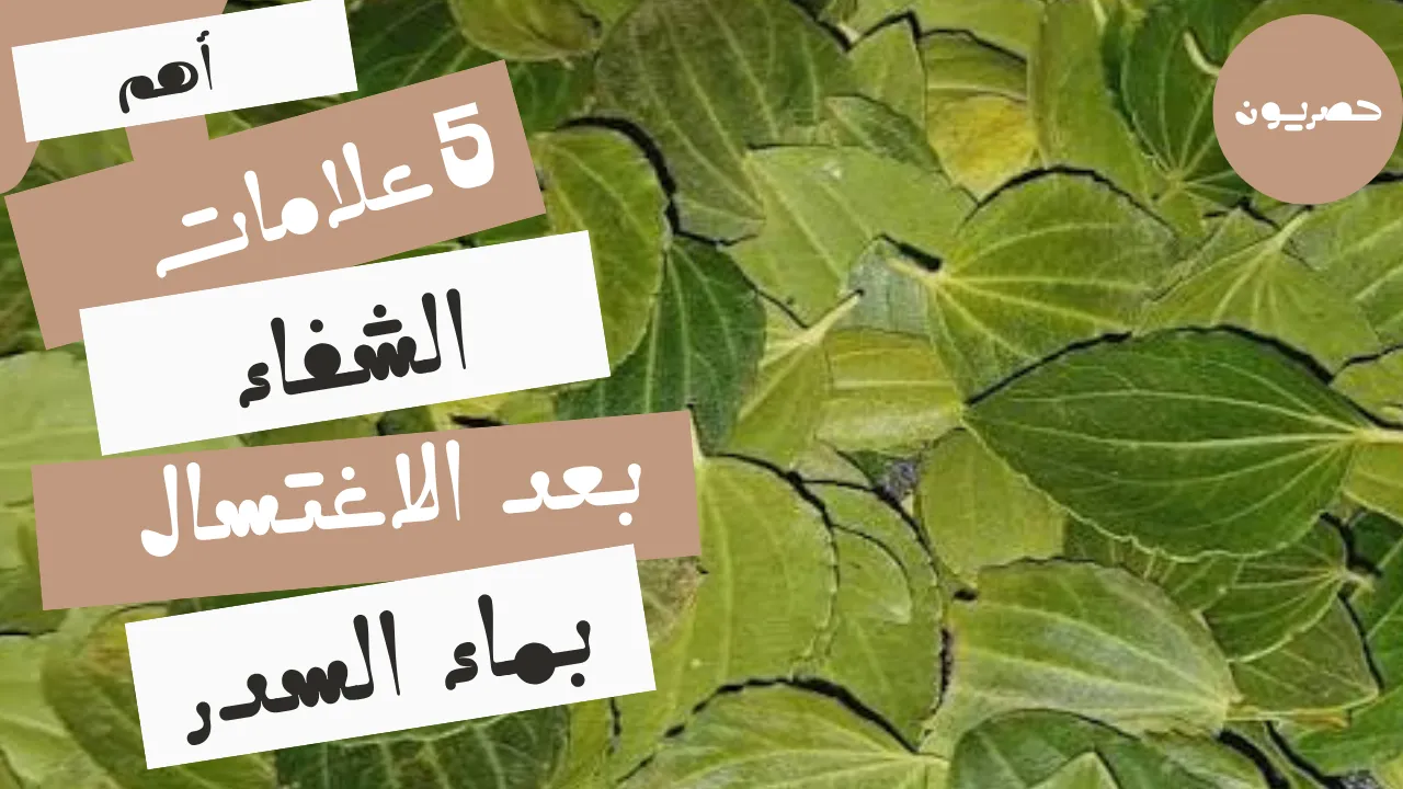 أهم 5 علامات الشفاء بعد الاغتسال بالسدر