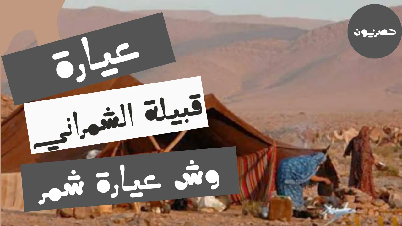 عيارة قبيلة الشمراني وعيارة شمر