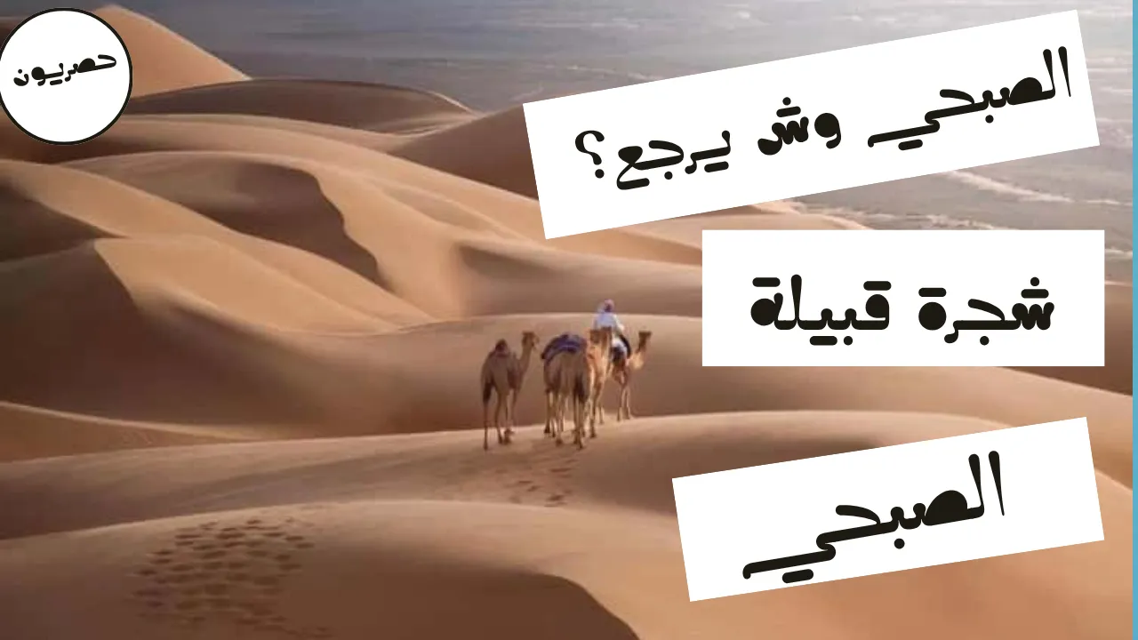 الصبحي وش يرجع .. شجرة قبيلة الصبحي