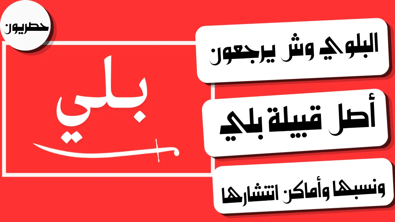 أصل قبيلة بلي من وين 