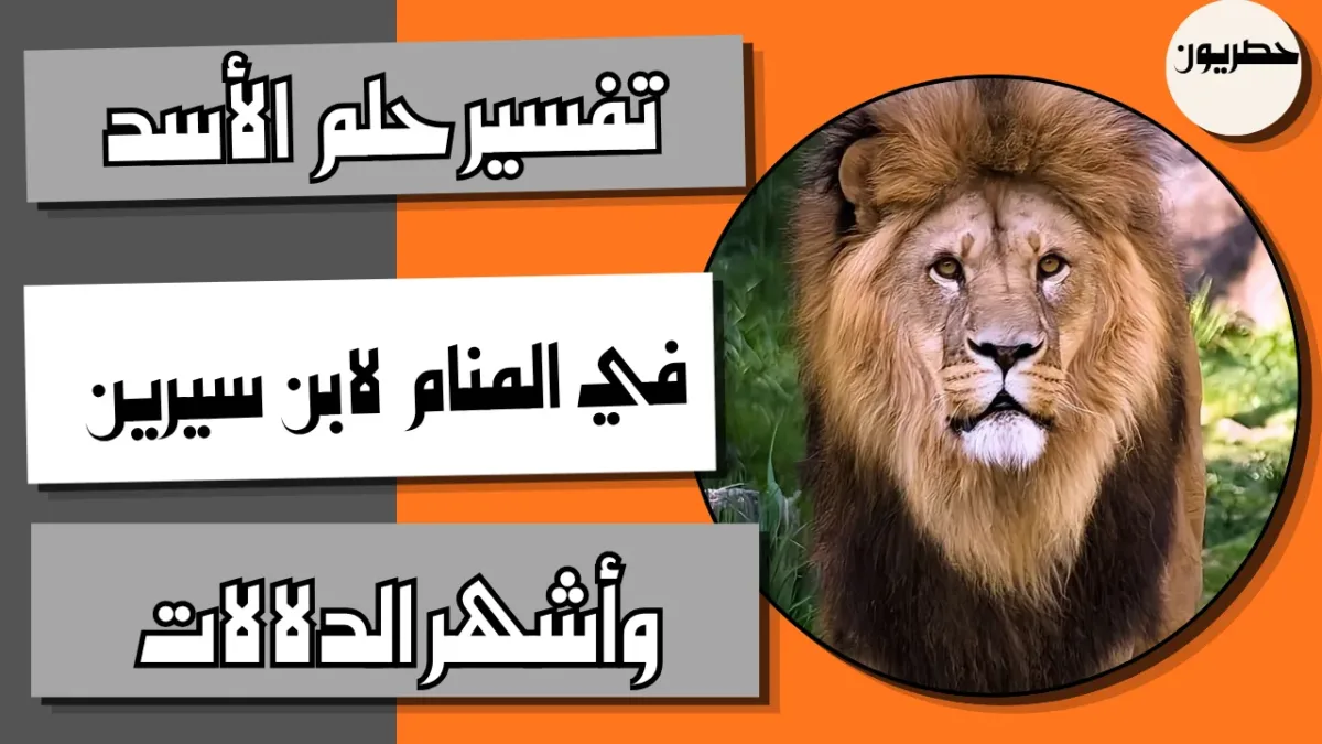 تفسير رؤية الأسد في المنام