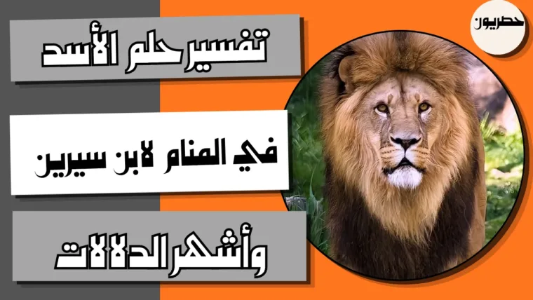 تفسير حلم الأسد في المنام لابن سيرين وأشهر الدلالات