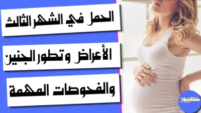 الحمل في الشهر الثالث: الأعراض وتطور الجنين والفحوصات المهمة