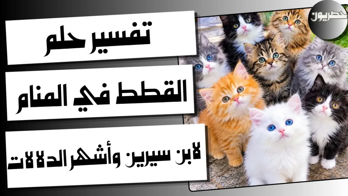 تفسير رؤية القطط في المنام