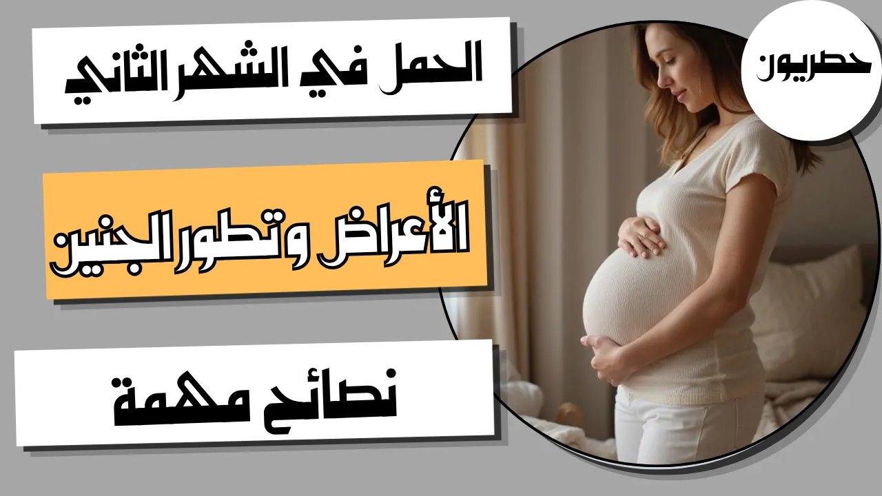 الحمل في الشهر الثاني: الأعراض وتطور الجنين ونصائح مهمة