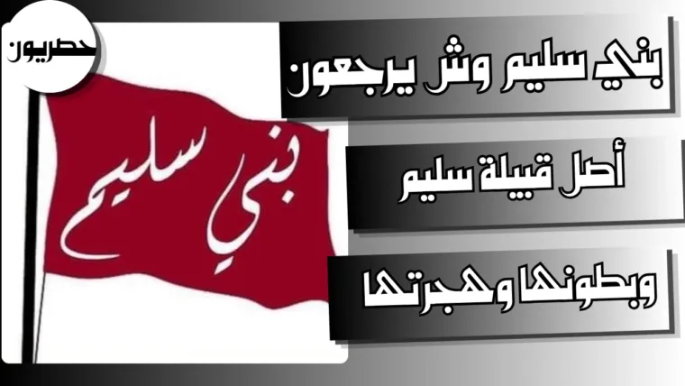 بني سليم وش يرجعون: أصل قبيلة سليم وبطونها وهجرتها