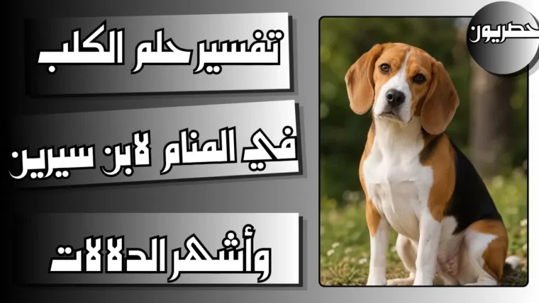تفسير حلم الكلب في المنام لابن سيرين وأشهر الدلالات