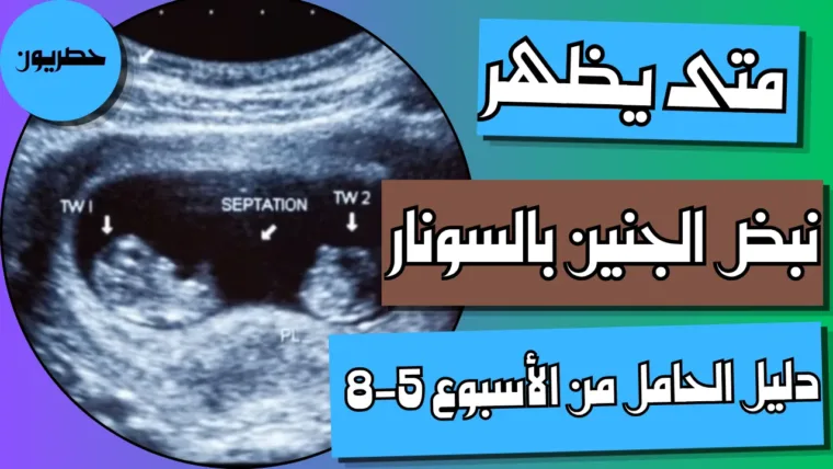 متى يظهر نبض الجنين بالسونار؟ دليل الحامل من الأسبوع الخامس إلى الثامن