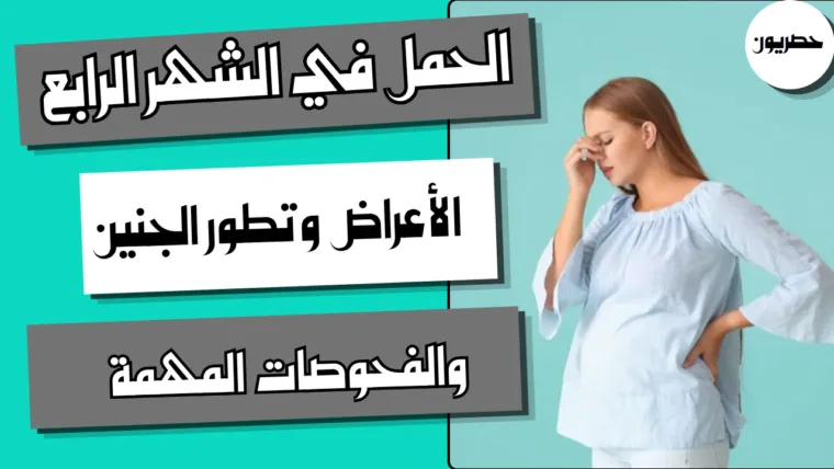 الحمل في الشهر الرابع: الأعراض وتطور الجنين والفحوصات المهمة