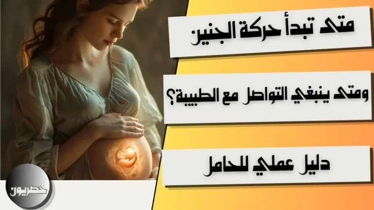 متى تبدأ حركة الجنين؟ ومتى ينبغي التواصل مع الطبيبة؟ دليل عملي للحامل