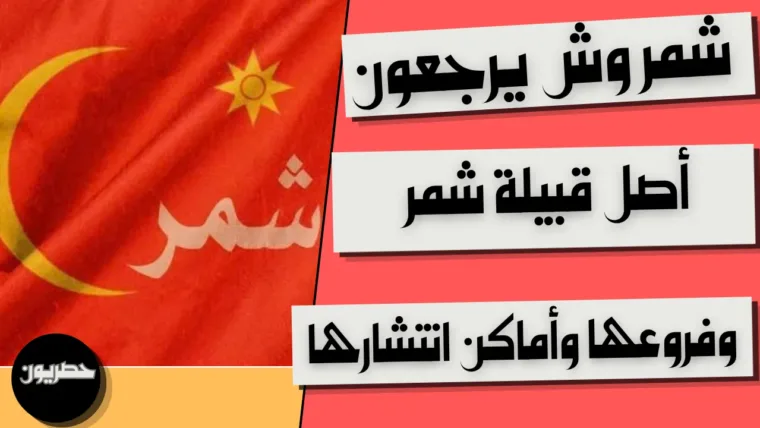 شمر وش يرجعون: أصل قبيلة شمر وفروعها وأماكن انتشارها