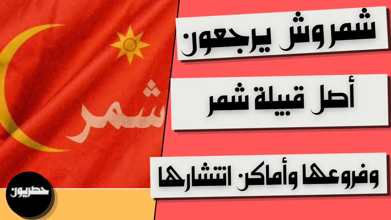 شمر وش يرجعون: أصل قبيلة شمر وفروعها وأماكن انتشارها