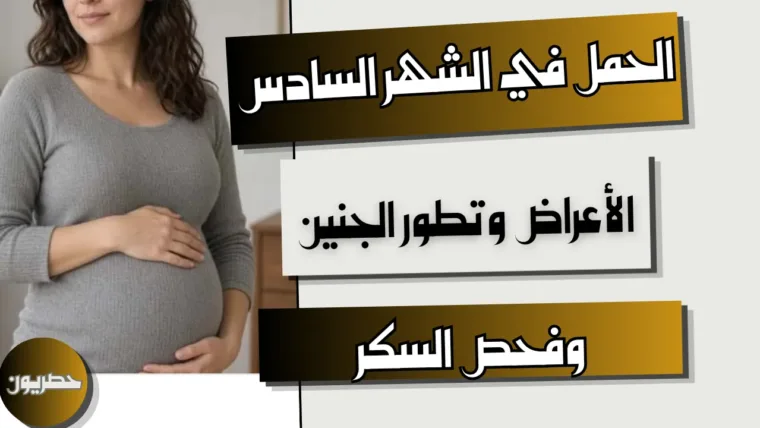 الحمل في الشهر السادس: الأعراض وتطور الجنين وفحص السكر